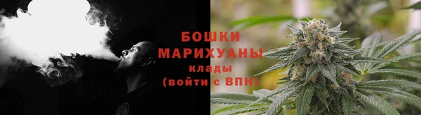 гидропоника Осинники