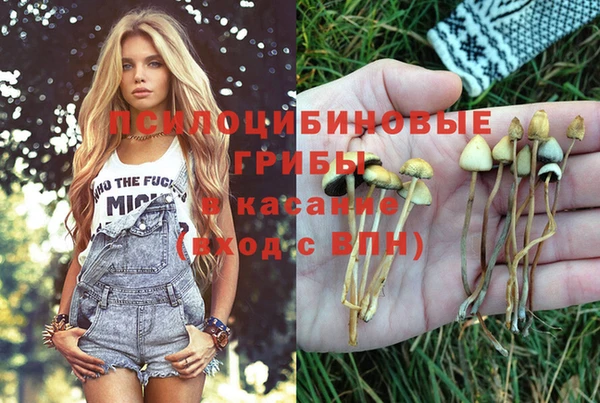 прущие крисы Осташков