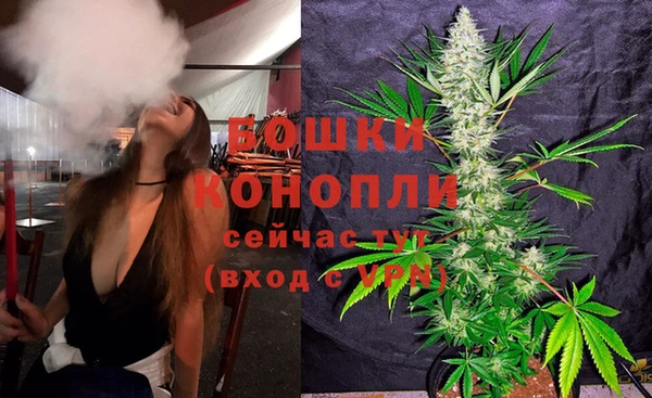 гидропоника Осинники