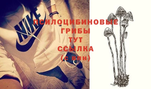 гидропоника Осинники